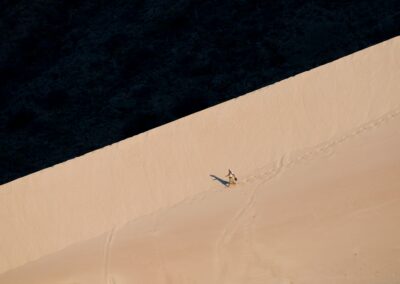 Socotra Island. Isla de Socotra. Suqutra. Yemen.