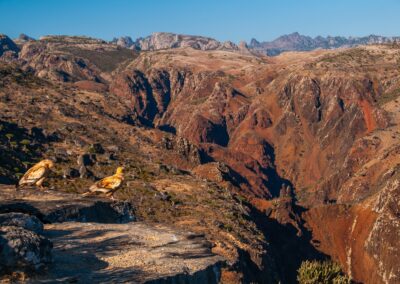 Socotra Island. Isla de Socotra. Suqutra. Yemen.