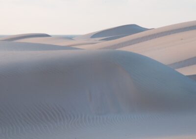 Socotra Island. Isla de Socotra. Suqutra. Yemen.