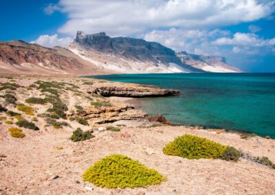 Socotra Island. Isla de Socotra. Suqutra. Yemen.