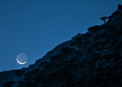 Socotra Island. Isla de Socotra. Suqutra. Yemen.