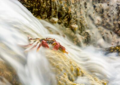 Turismo de Canarias. Promotur. Fotografía turismo. Alex Martin Ros.