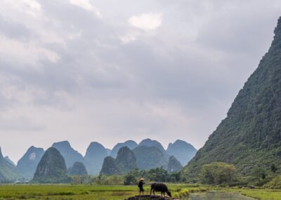 Guilin. China. Alex Martín Ros.