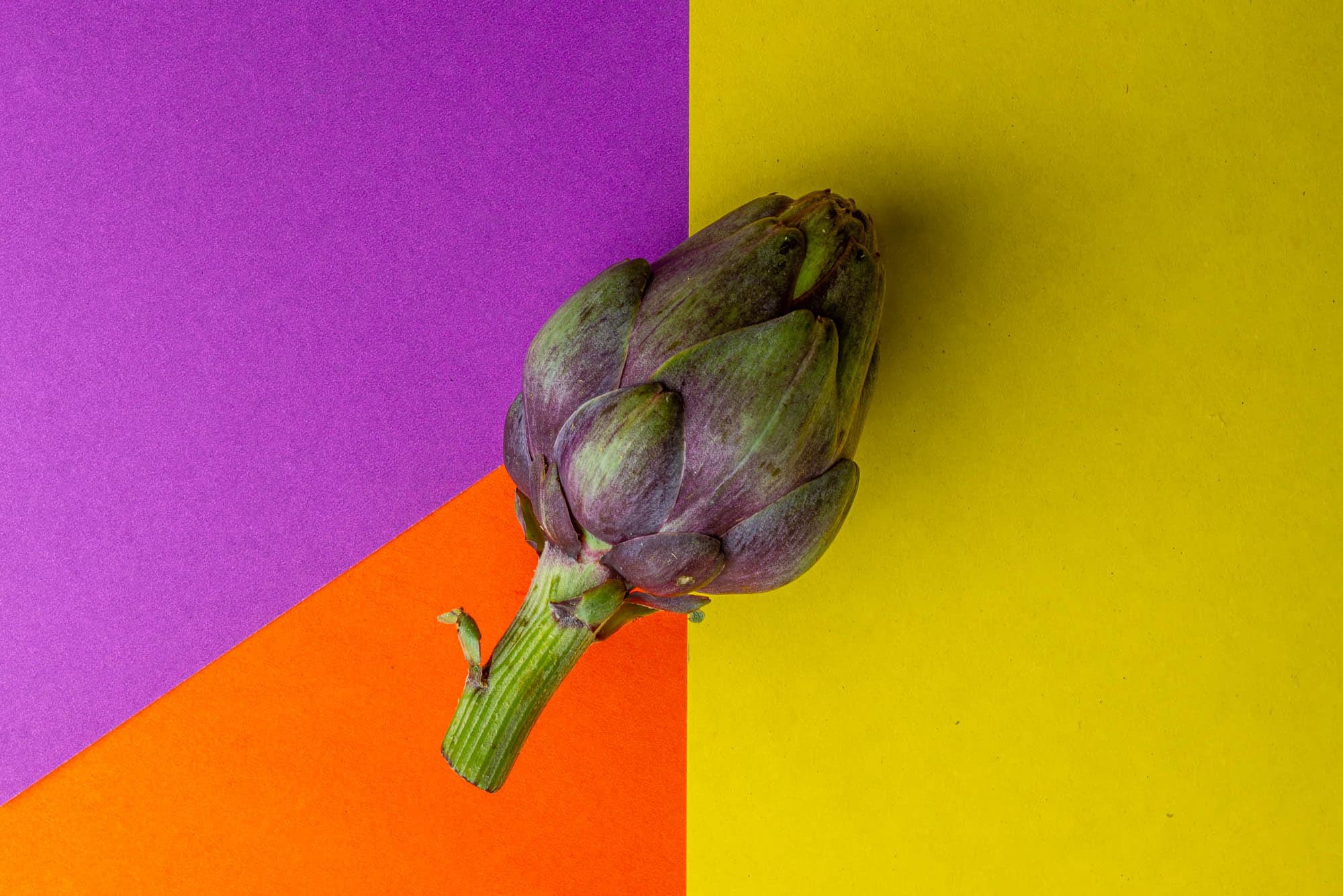 Gastronomy. Alex Martin Ros.