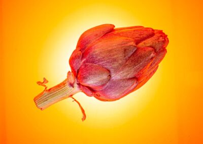 Gastronomy. Alex Martin Ros.