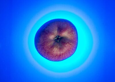 Gastronomy. Alex Martin Ros.